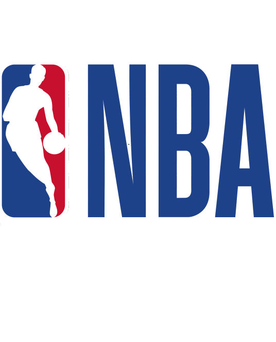 NBA 尼克斯vs奇才20241231